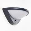 CARANO Outdoor Wall Light LED black, 1-light source, Motion sensor