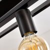 TRARYD Pendant Light black, 4-light sources