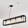 TRARYD Pendant Light black, 4-light sources