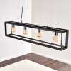 TRARYD Pendant Light black, 4-light sources