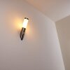 Norburg Outdoor Wall Light stainless steel, 1-light source, Motion sensor