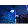 Philips HUE AMBIANCE WHITE & COLOR DISCOVER Floodlight LED black, 1-light source, Colour changer