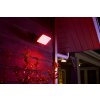 Philips HUE AMBIANCE WHITE & COLOR DISCOVER Floodlight LED black, 1-light source, Colour changer