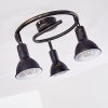 POLMAK Ceiling light black-gold, 3-light sources