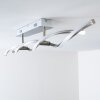 Paul Neuhaus POLINA ceiling light LED stainless steel, 2-light sources