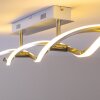 Paul Neuhaus POLINA ceiling light LED stainless steel, 2-light sources
