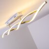 Paul Neuhaus POLINA ceiling light LED stainless steel, 2-light sources