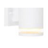 Outdoor Wall Light Globo ALCALA white, 2-light sources