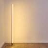 Pipe Floor Lamp LED matt nickel, 1-light source, Remote control, Colour changer