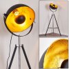 Jupiter Floor Lamp black-gold, 1-light source