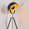 Jupiter Floor Lamp black-gold, 1-light source