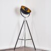 Jupiter Floor Lamp black-gold, 1-light source