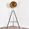 Jupiter Floor Lamp black-gold, 1-light source