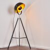 Jupiter Floor Lamp black-gold, 1-light source