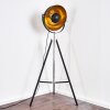 Jupiter Floor Lamp black-gold, 1-light source
