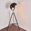 Jupiter Floor Lamp black-gold, 1-light source