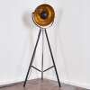 Jupiter Floor Lamp black-gold, 1-light source