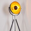 Jupiter Floor Lamp black-gold, 1-light source