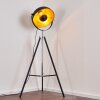 Jupiter Floor Lamp black-gold, 1-light source