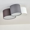 PAYETTE Ceiling Light white, 3-light sources