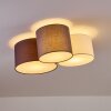 PAYETTE Ceiling Light white, 3-light sources