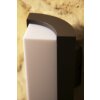 Trio SUEZ outdoor wall lamp LED black, 1-light source