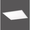 Paul Neuhaus Q-Flag Ceiling Light LED white, 1-light source, Remote control