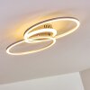Lithgow Ceiling Light LED silver, 1-light source