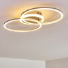 Lithgow Ceiling Light LED silver, 1-light source