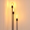 MAIDFORD Floor Lamp black, 3-light sources