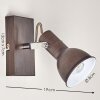 Danikon Wall Light brown, chrome, 1-light source