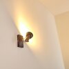 Danikon Wall Light brown, chrome, 1-light source