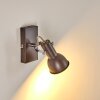 Danikon Wall Light brown, chrome, 1-light source