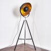 Jupiter Floor Lamp black-gold, 1-light source