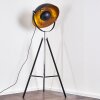 Jupiter Floor Lamp black-gold, 1-light source