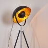 Jupiter Floor Lamp black-gold, 1-light source