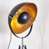 Jupiter Floor Lamp black-gold, 1-light source