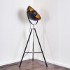 Jupiter Floor Lamp black-gold, 1-light source