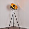 Jupiter Floor Lamp black-gold, 1-light source