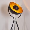 Jupiter Floor Lamp black-gold, 1-light source