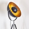 Jupiter Floor Lamp black-gold, 1-light source