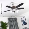 IRVING ceiling fan chrome, grey, Light wood, 5-light sources