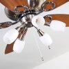 IRVING ceiling fan chrome, grey, Light wood, 5-light sources