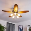 IRVING ceiling fan chrome, grey, Light wood, 5-light sources