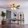 IRVING ceiling fan chrome, grey, Light wood, 5-light sources