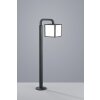Trio CUBANGO pedestal light anthracite, 1-light source