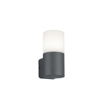Outdoor Wall Light Trio Leuchten HOOSIC anthracite, 1-light source