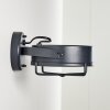 GOTTER Outdoor Wall Light LED anthracite, 1-light source