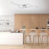 Leuchten-Direkt TYLER Ceiling Light LED, 2-light sources