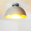 Saro Ceiling Light grey, 1-light source